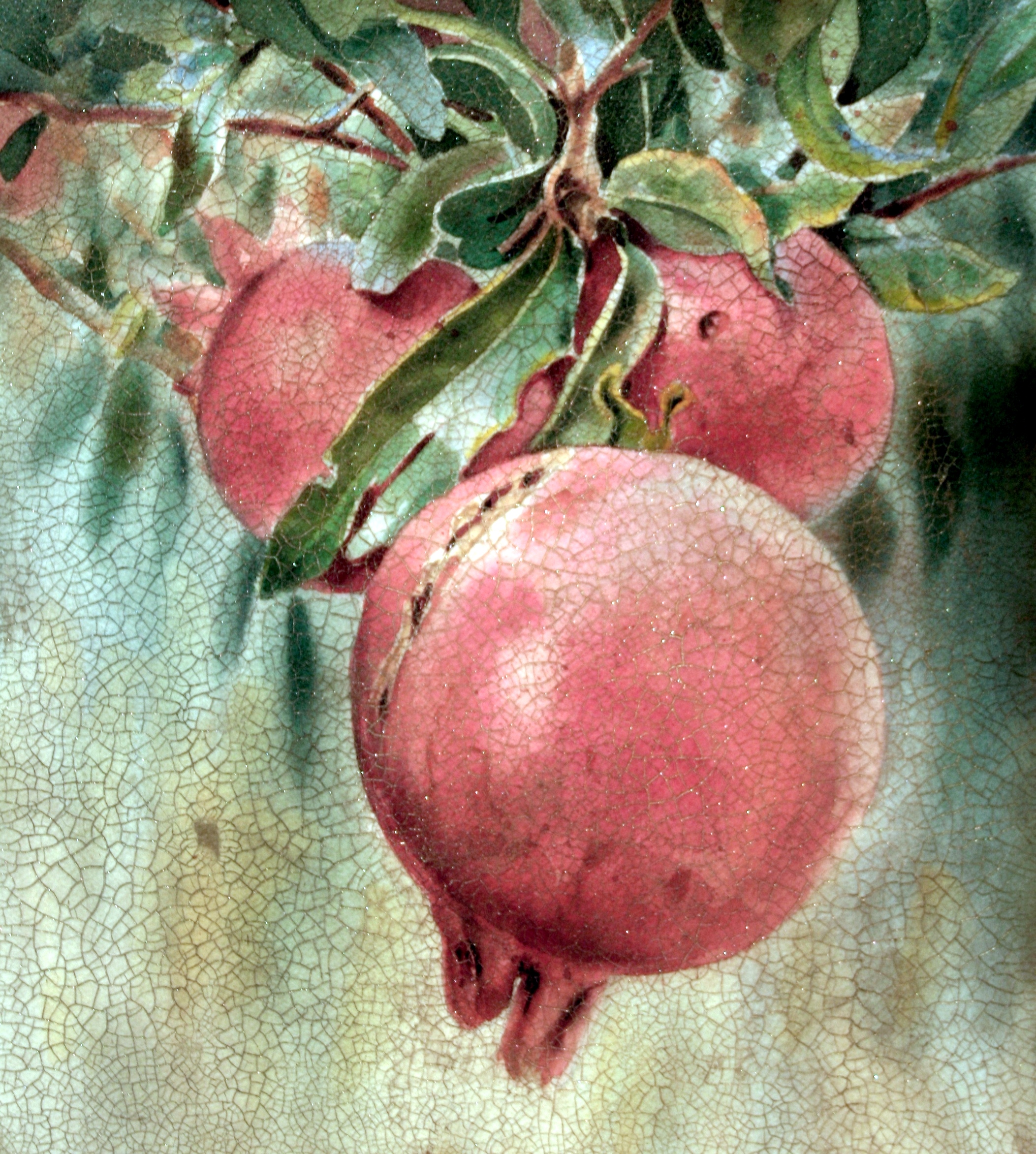 Vintage Pomegranate